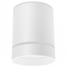 Накладной светильник ambrella light tn tn280